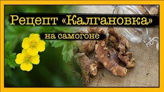 Рецепт настойки Калгановка #рецепт #калган #самогон #калгановка