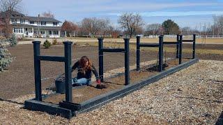 Planting Blackberries   Garden Answer