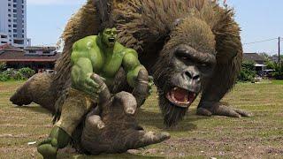 The Hulk VS King Kong in life action