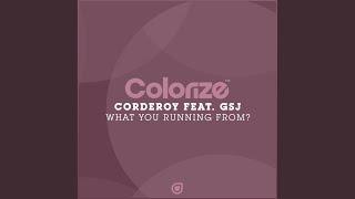 What You Running From? Original Mix