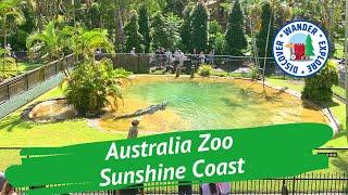  Australia Zoo  Sunshine Coast  Highlights of our Visit to Australia Zoo