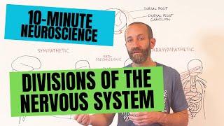 10-Minute Neuroscience Divisions of the Nervous System