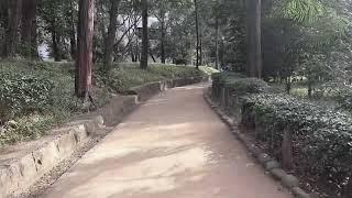 【Tokyo】 ARISUGAWA-PARK IN HIROO WINTER 2022 【Stroll Around Town】