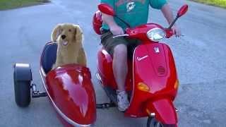 Keltic sidecars mounted on a  50cc Modern Vespa