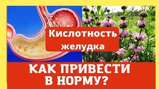 Кислотность желудка. Как привести в норму? Домашний лечебник