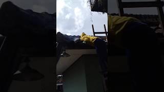 Sedang Membongkar Sarang LebahTawon di atap Rumahmadu nya lumayan banyak