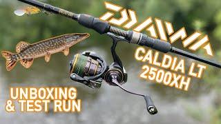 Daiwa Caldia LT 22 2500 Unboxing & Test Run. Pike on