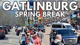 Spring Break Crowds in Gatlinburg Tennessee  How Busy Is It?