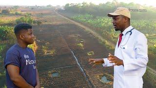 Unemployed Malawian Nurse Sold His $70 Phone & Made $7000 From Farming