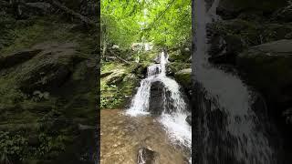 Dark Hollow Falls  Nature #Shorts  Shenandoah National Park  Waterfall Wednesday  View 2