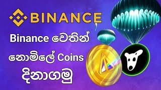 Binance වෙතින් නොමිලේ Coins දිනාගමු  Free Coins  Binance Campaign  Free Earning