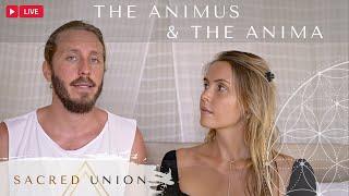 LIVE Session — The Animus & The Anima — The Origin Of Inverted Polarity