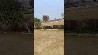 Jain College #Punjab #shorts #shortvideo #viralvideo #youtubeshorts