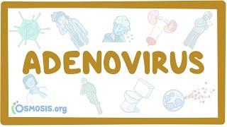 Adenovirus - an Osmosis Preview