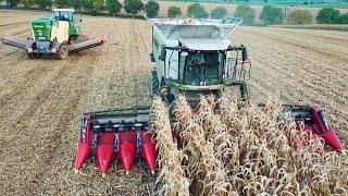 Claas Lexion 7500 + Krone BIG M 450 bei der Maisernte 2023Corn Harvest  23