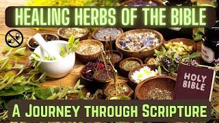 Secrets of Biblical Herbal Remedies Revealed