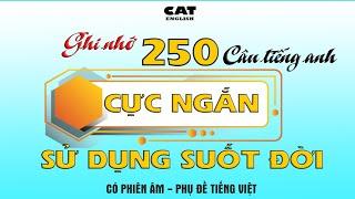 Ghi nhớ 250 câu Tiếng anh CỰC NGẮN sử dụng thường xuyên