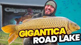 Gigantica Road Lake With Ben Parker & @CaravanCarpers  Carp Fishing Holiday