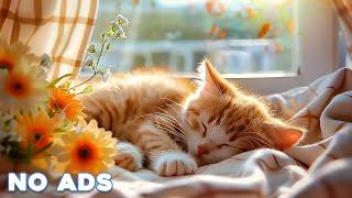 12 Hours Sleep Music for Cats  Calming Music for Cats No Ads  Sleep Music for Anxious Cats