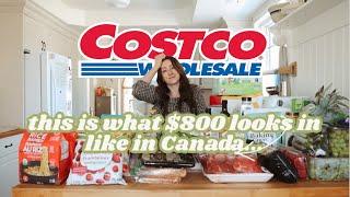 Huge Monthly Costco Haul For Our Family of 6 In Canada