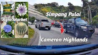 FAST⏩ DARI SIMPANG PULAI NAIK KE CAMERON HIGHLANDS  AGRO MARKET  ARPHA A12 2K