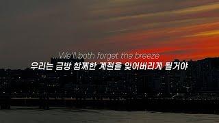 우리는 금방 함께한 계절을 잊어버리게 될거야 Damien Rice - The Blowers Daughter 가사해석번역lyrics