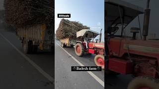 subscribe YouTube channel #swaraj855 #farming #khetibadi #tractor #trending ￼