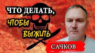 Еда из супермаркета. Продовольственная безопасность  Даниил Сачков