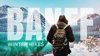 BEST Winter Hikes in Banff  Easy and Fun  Top 4