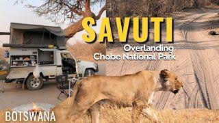 BOTSWANA  Abenteuer Savuti  Chobe National Park im Okavango Delta  Marshroad Overlanding Safari