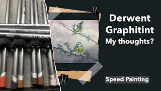 Derwent Graphitint Pencils My Thoughts