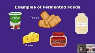 Fermented Foods vs Probiotics for Gut Health- #TrendingNow