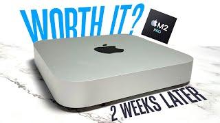 M2 Pro Mac Mini is a Weird Buy...