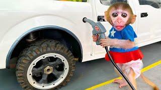 Baby Monkey Chu Chu Went Camping With His Puppy And Had Trouble With The Car