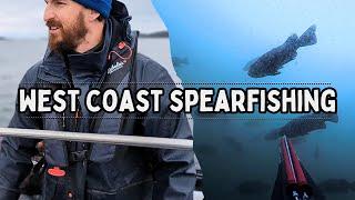 Spearfishing Time 2024 - We Killed It #vancouverisland #pnw