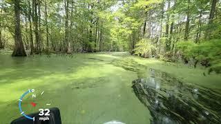 No Duckweed to Full On Duckweed in No Time