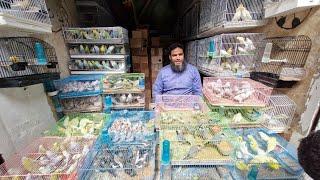سوق القريعةإجيو نتولعو ونتعرفو على أتمنة مختلف أنواع الطيور على قناتكم عالم الطيور