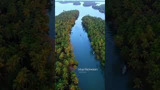 Beautiful backwaters of Udupi #ytshorts #dronevideo #karnataka nature at its best