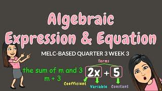 ALGEBRAIC EXPRESSIONS & EQUATIONS  GRADE 6