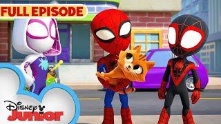 CAT-astrophe  S1 E11 Pt 1  Marvels Spidey and his Amazing Friends  Full Episode  @disneyjunior