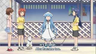 Ika Musume  ika acts like a dog