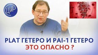 PLAT гетеро и PAI-1 гетеро - это опасно? Отвечает врач акушер-гинеколог к.м.н. Гузов И.И.