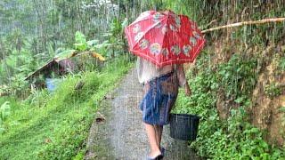 Wah.. Seenak Ini Bikin Ketagihan Datang Ke Kampung Indah Ketika Musim Hujan Di Pedesaan Jawa Barat