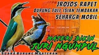 MATERI JROJOS BIKIN JURI NGUMPUL  MASTERAN BURUNG FULL ISIAN TEMBAKAN RAPAT