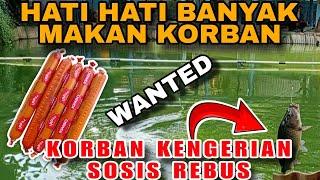  PENJAHAT  Umpan Ini Terlalu Kejam Kalo Buat Harian Terlalu Banyak Korban Keboncosan