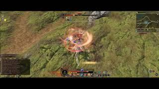 Bless Online Solo Guardian Open World PVP