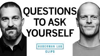 Important Questions to Ask Yourself  Tim Ferriss & Dr. Andrew Huberman