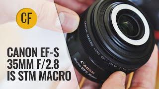 Canon EF-S 35mm f2.8 IS STM Macro lens review with samples