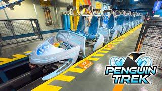 PENGUIN TREK - SeaWorld Orlando NEW 2024 POV