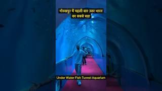 Under Water Fish Tunnel Gorakhpur  Disney Land Mela Gorakhpur #youtubeshorts #shorts